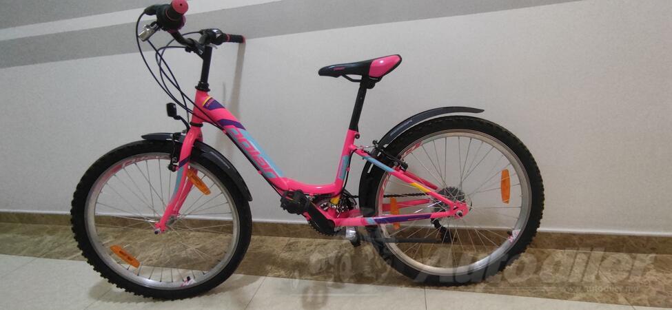 Polar - Polar modesty 24 pink