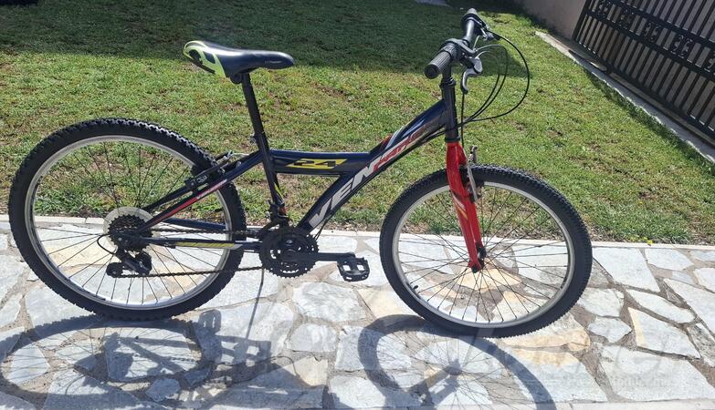 BIXS - 24
