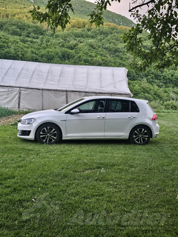 Volkswagen - Golf 7 - 1600