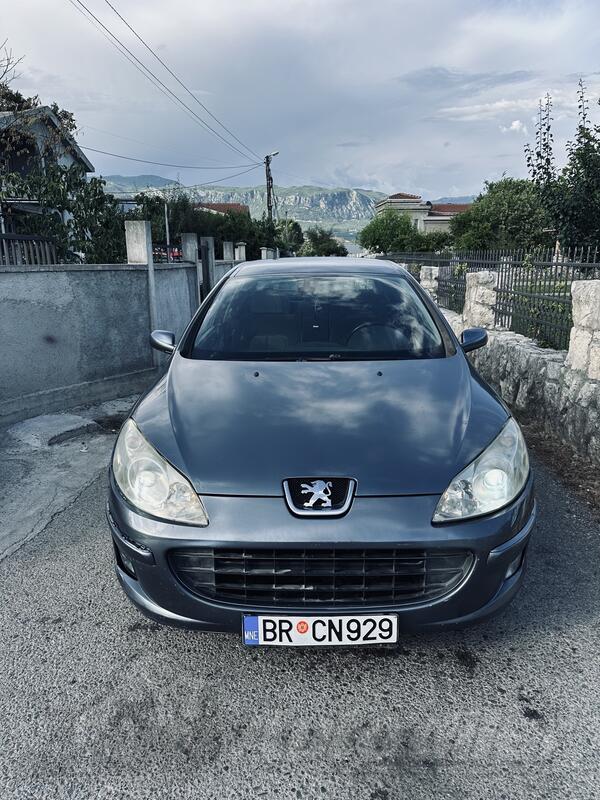 Peugeot - 407 - 2,0