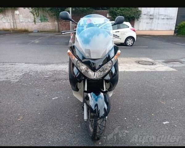 Suzuki - burman