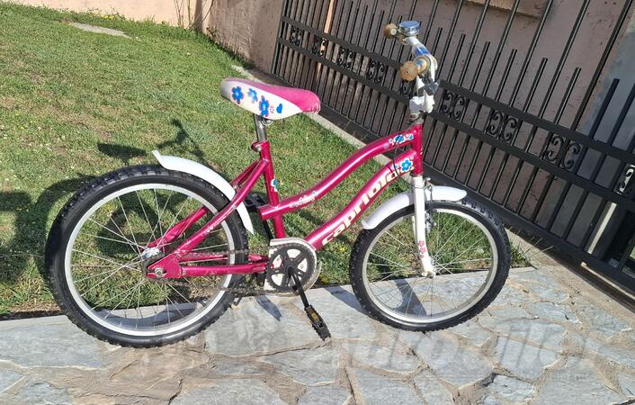 Capriolo - 20