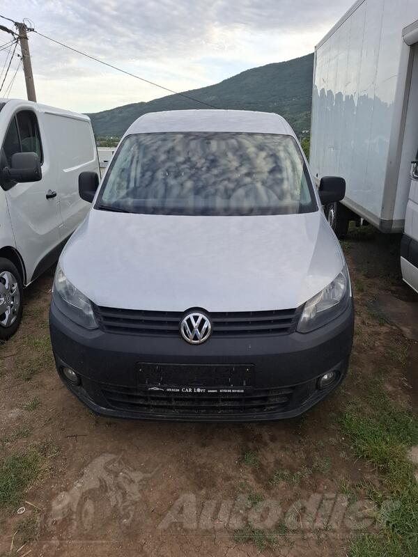 Volkswagen - Cedy