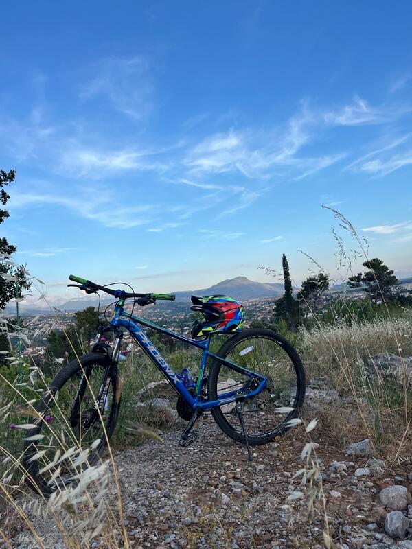 Pinarello - phoenix