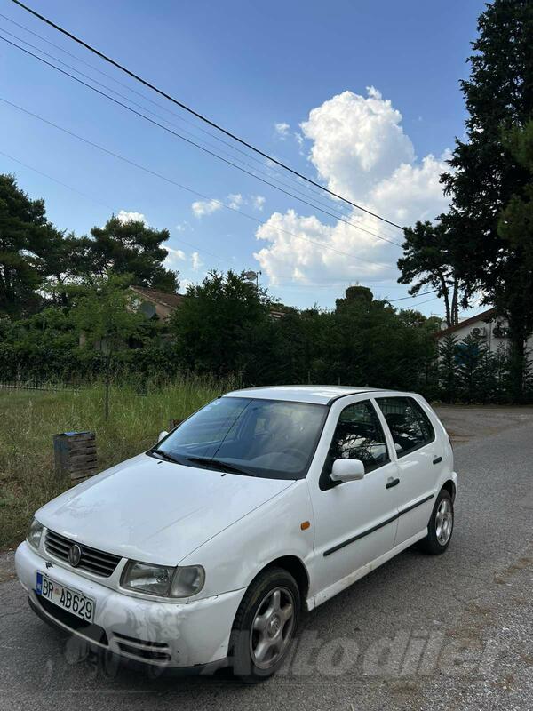 Volkswagen - Polo - 1.6