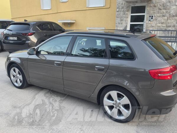 Audi - A3 - 1.6tdi