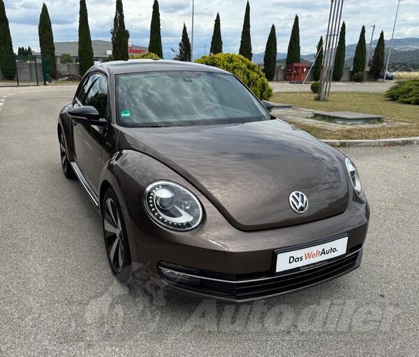 Volkswagen - Beetle - 2.0TDI