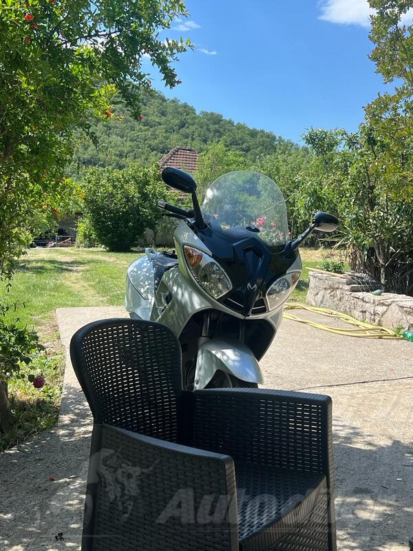 Malaguti - spider max 500