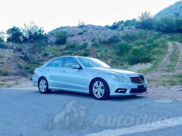 Mercedes Benz - E 250 - E 250  2,2 avangard AMG