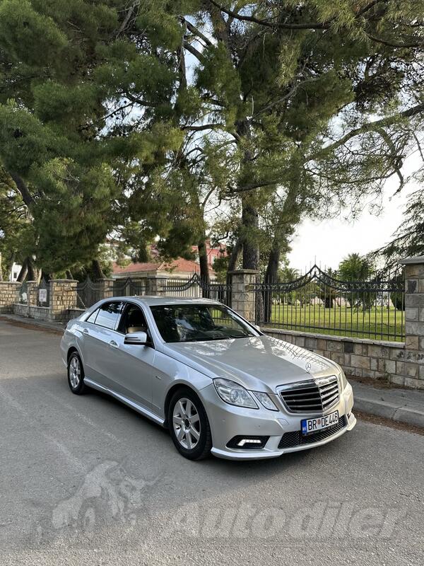 Mercedes Benz - E 220 - Avntgarde