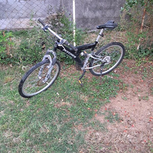 Sprint - fiser
