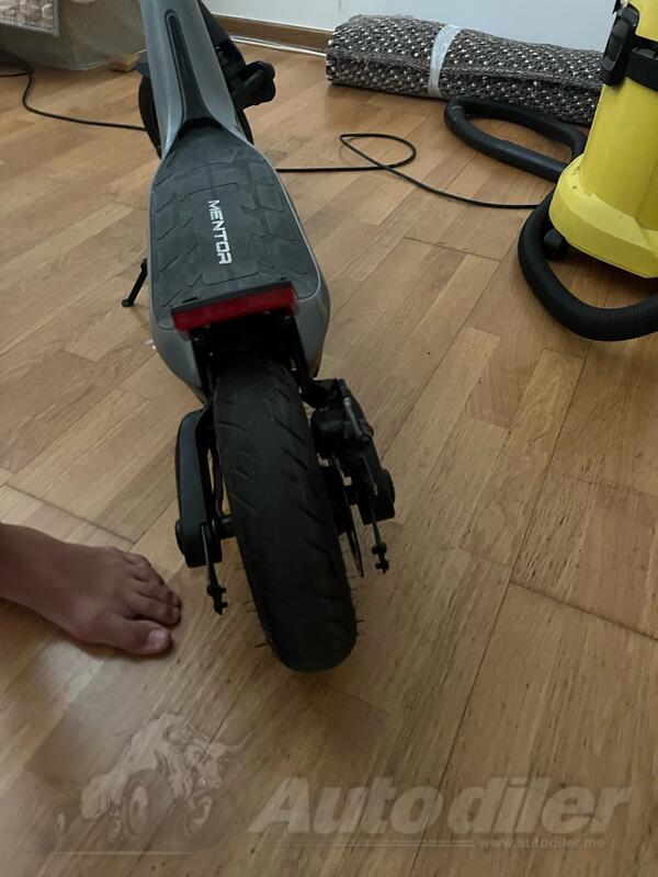 Ducati - ms enrgy mentor