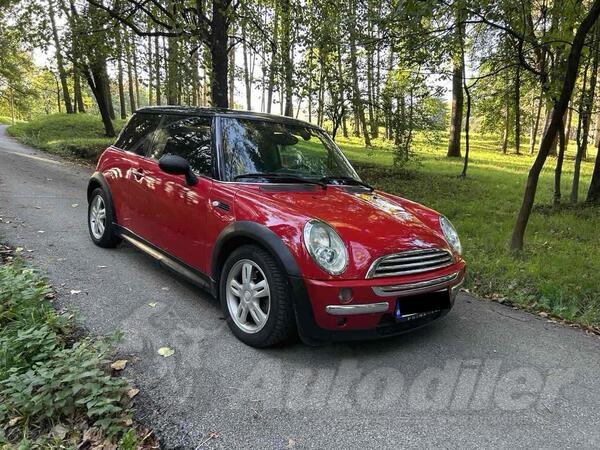 Mini - One D - One D