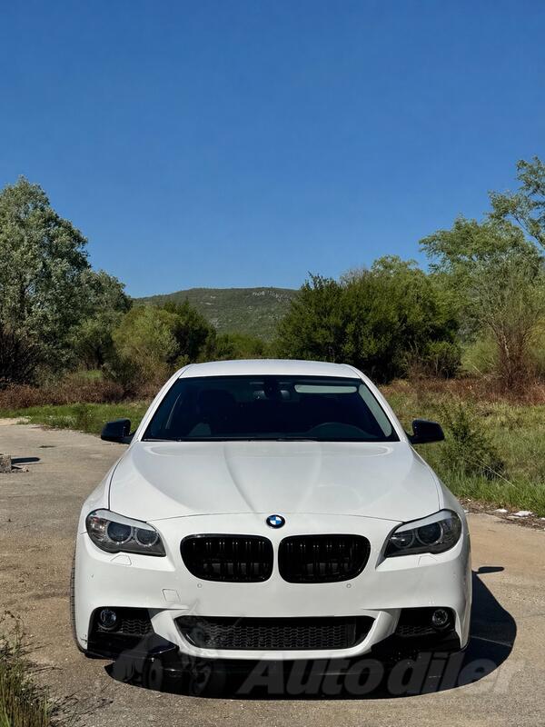 BMW - 520 - 2.0