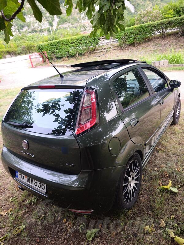 Fiat - Punto Evo - 1.3 mjtd