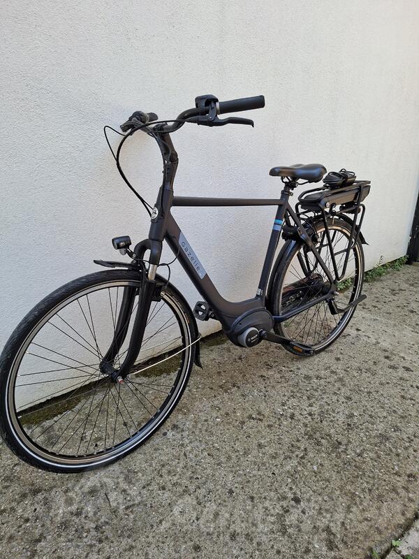 Gazelle - paris c7