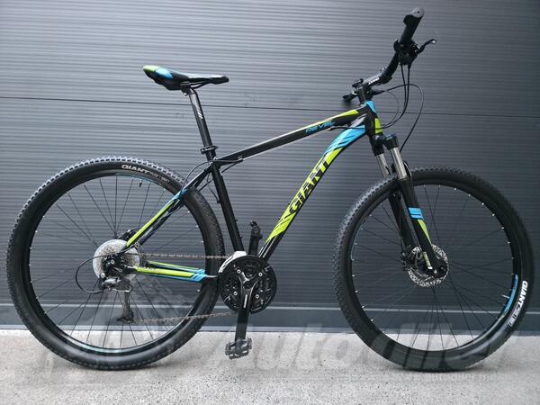 Giant - 29