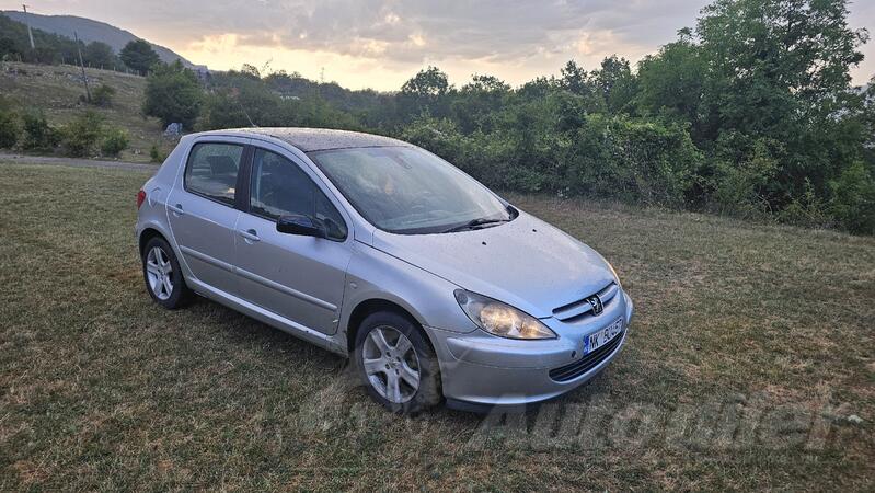 Peugeot - 307 - 2.0hdi 66kw