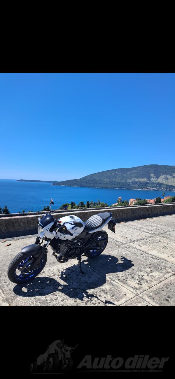 Suzuki - SUZUKI SV650X