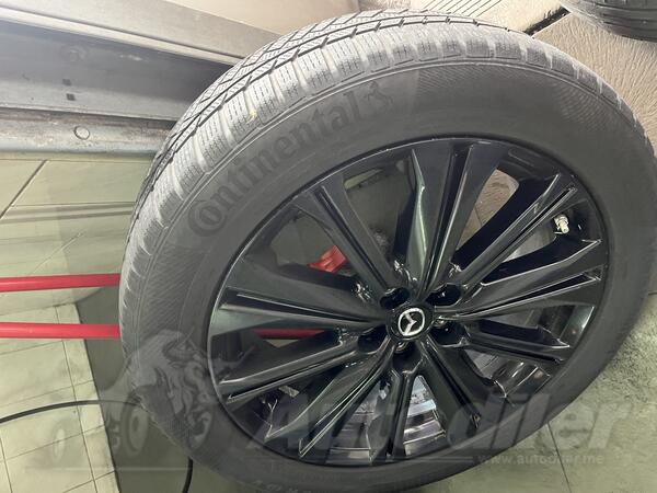 Continental - 225/55/19 - Winter tire