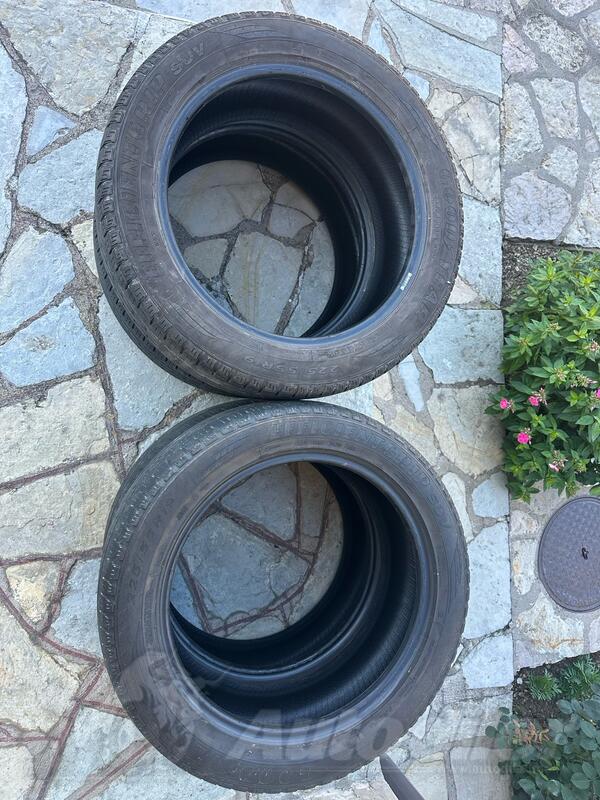 GoodYear - r19 - Univerzalna guma