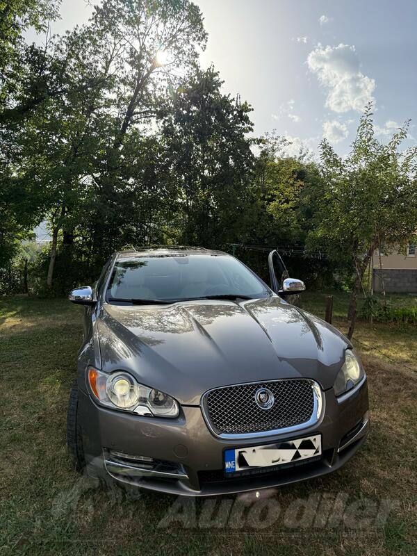 Jaguar - XF - Sv8