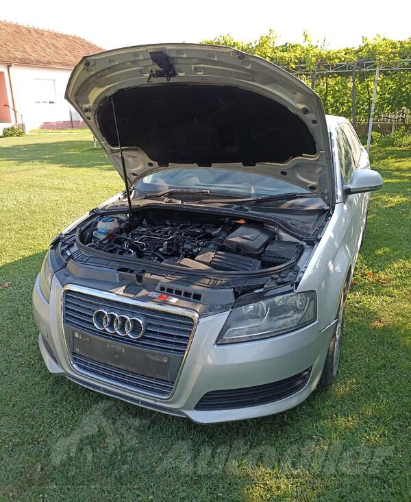 U djelovima Audi - A3 1.6 TDI