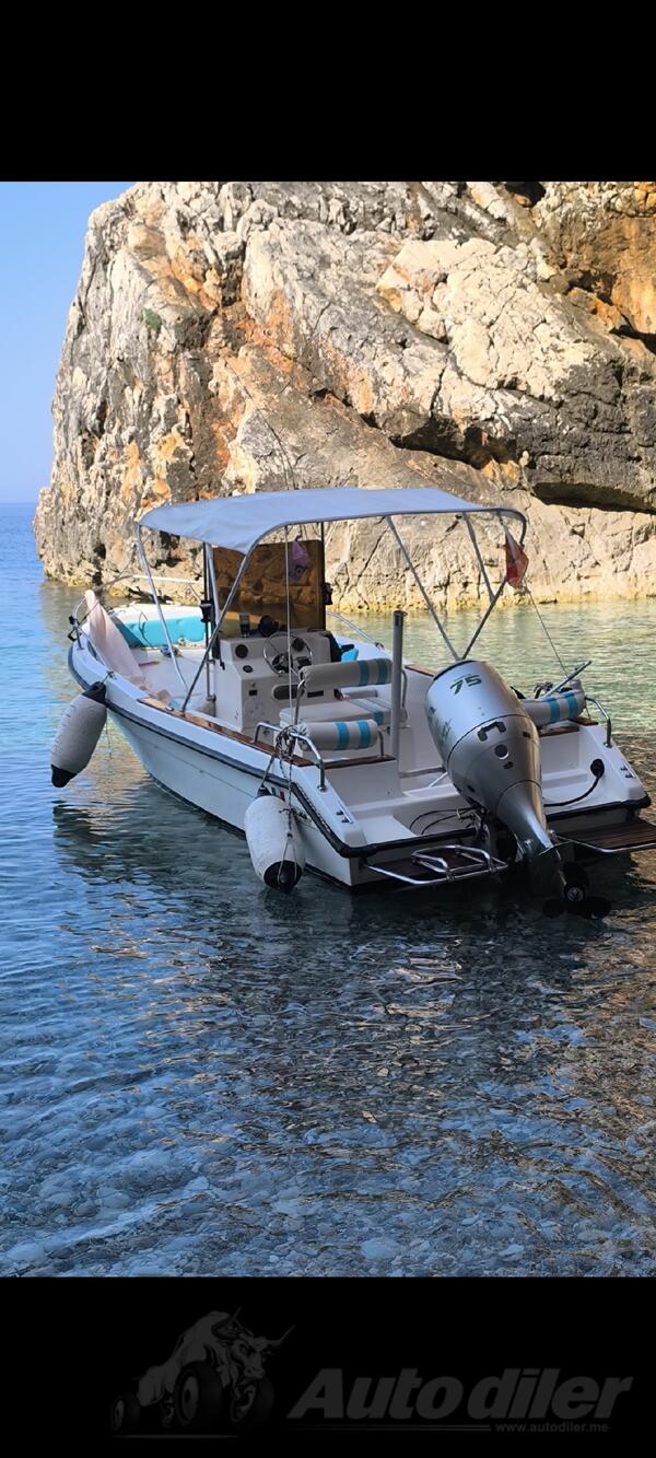 Marine - Lady 550