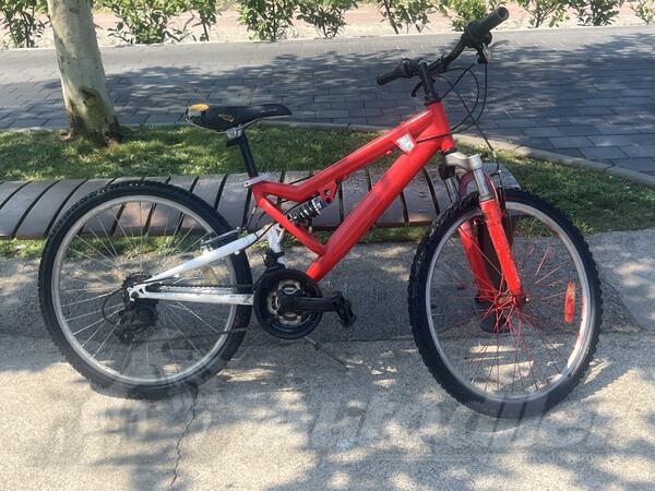 BIXS - cross