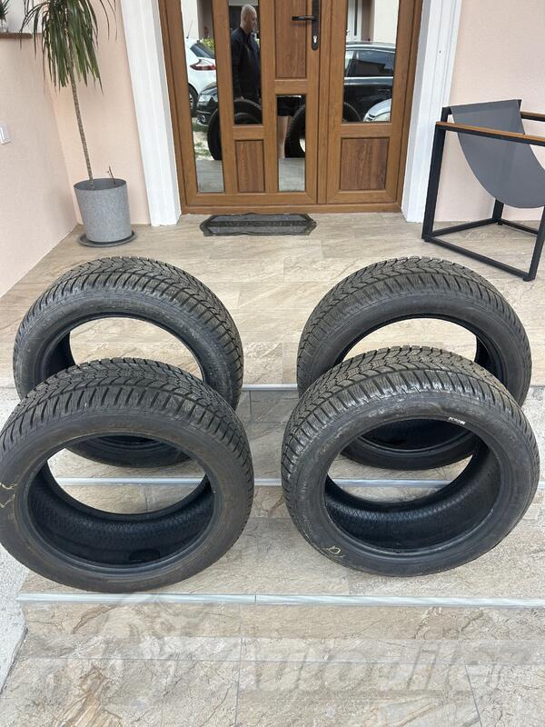 Sava - Eskimo hp2 225/50 r17 - Zimska guma