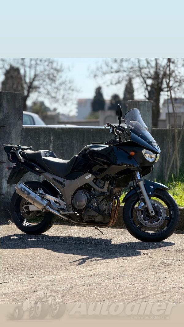 Yamaha - TDM900