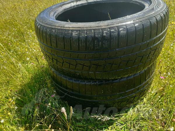 Dunlop - m+s - Zimska guma
