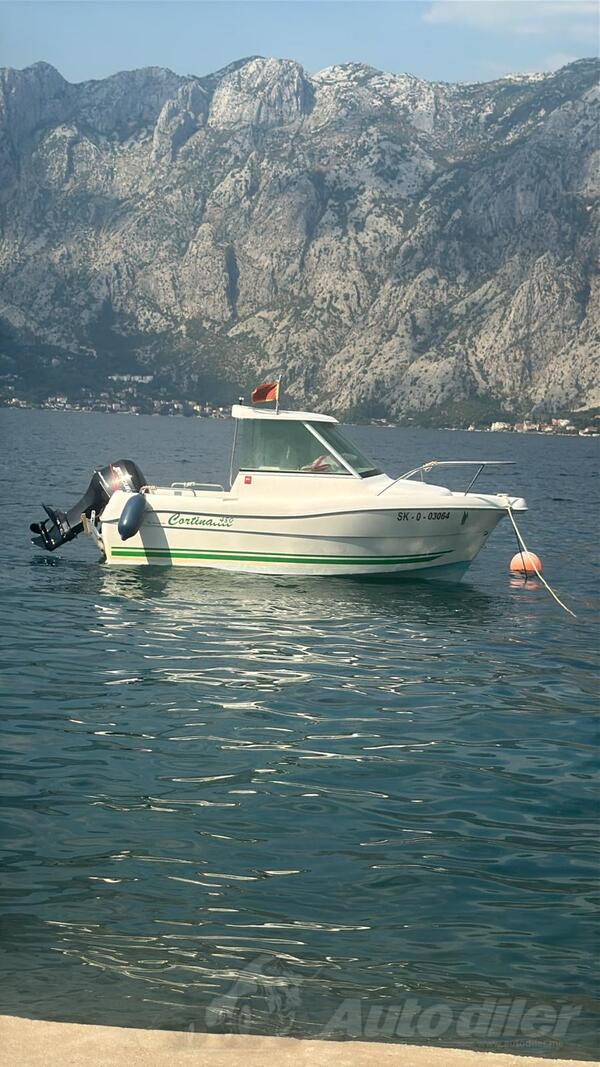 Campion - Cortina 480