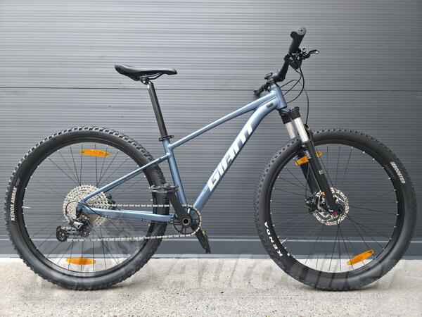 Giant - 29