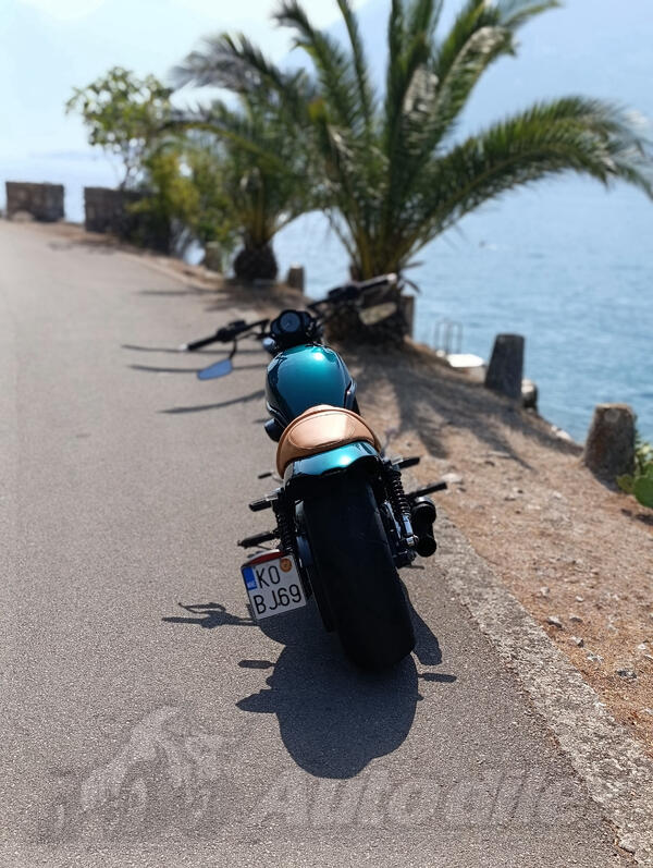 Harley-Davidson - VRSCDX NIGHT ROD SPECIAL