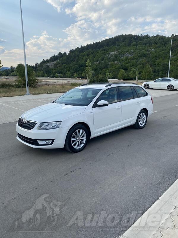 Škoda - Octavia - 2.0 TDI 4*4