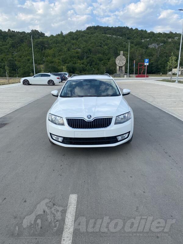 Škoda - Octavia - 2.0 TDI 4*4