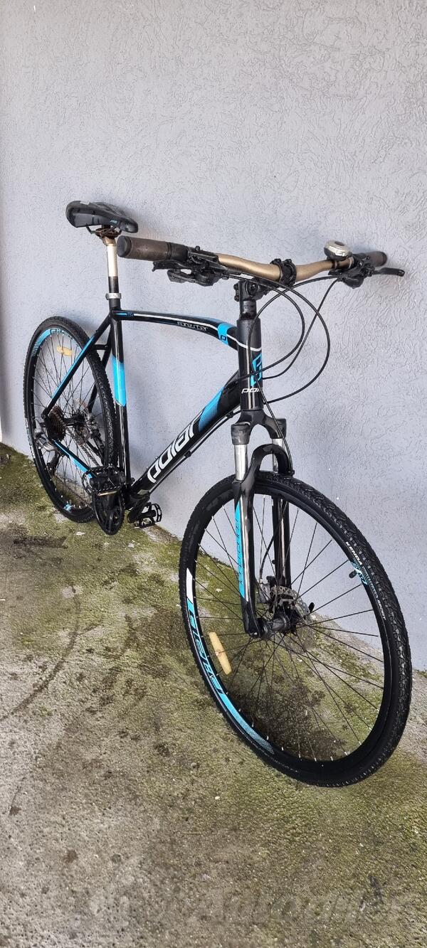 Polar - FORESTER PRO
