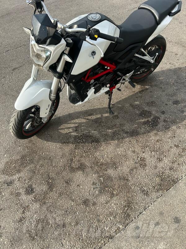 Benelli - Bn251