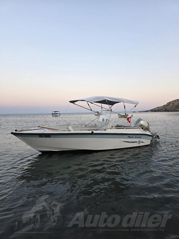 Sunny boat - Flipper SunFish