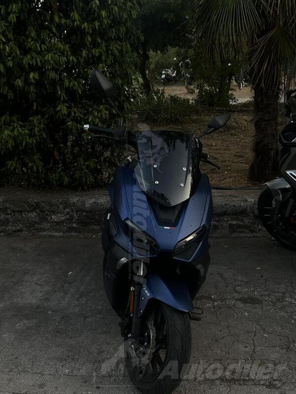 Longjia - vmax