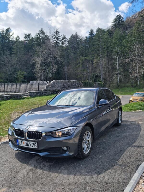 BMW - 316 - 2.0