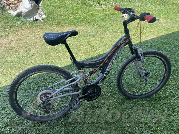 Capriolo - ctx 240