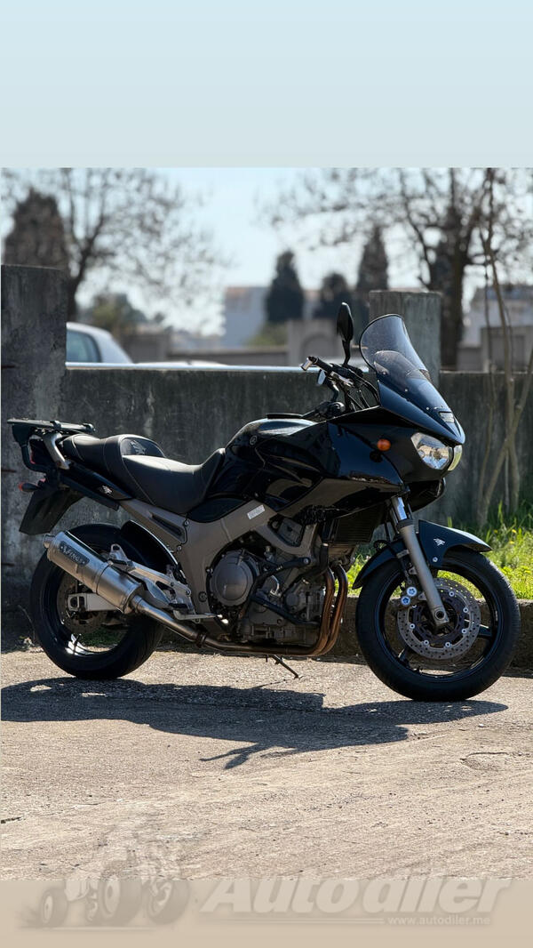 Yamaha - TDM900