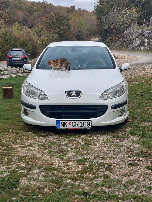 Peugeot - 407 - 1.6 hdi