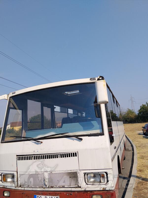 TAM - Autobusi