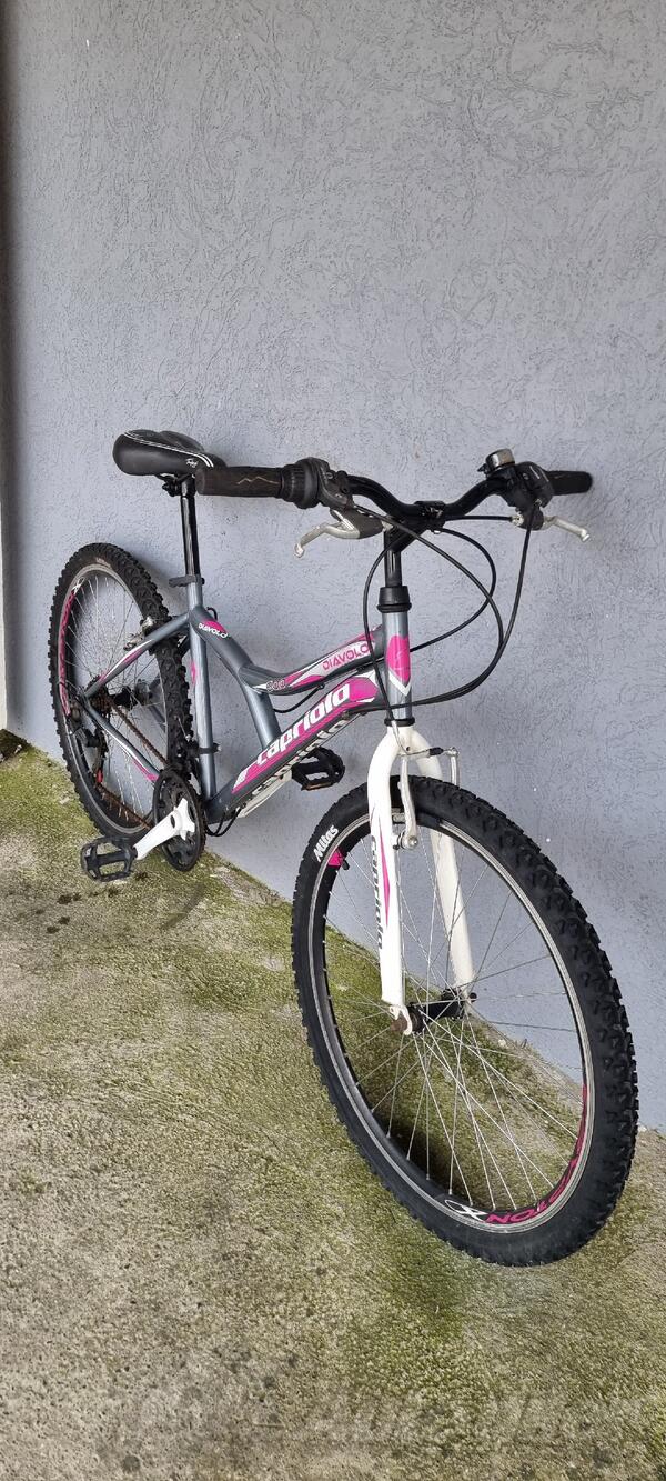 Capriolo - DIAVOLO  600