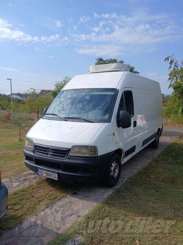 Fiat - dukato