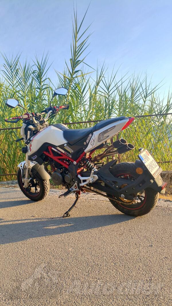 Benelli - TNT 125