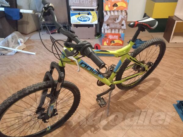 Polar - mtb